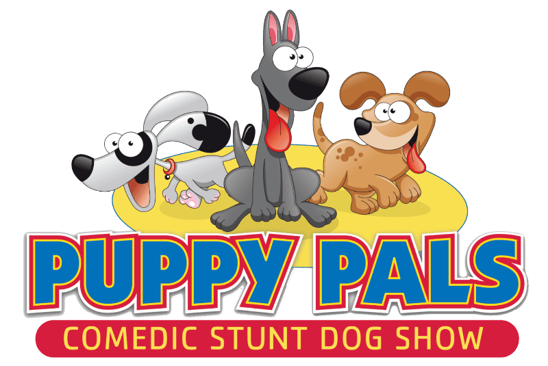 Van Wert LIVE features Puppy Pals, comedic stunt dog show