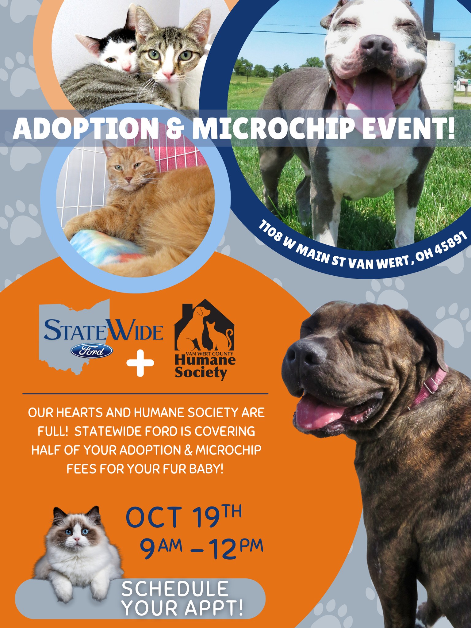 Van Wert County Animal Shelter with Statewide Ford