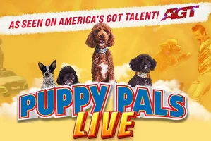 Van Wert LIVE Puppy Pal